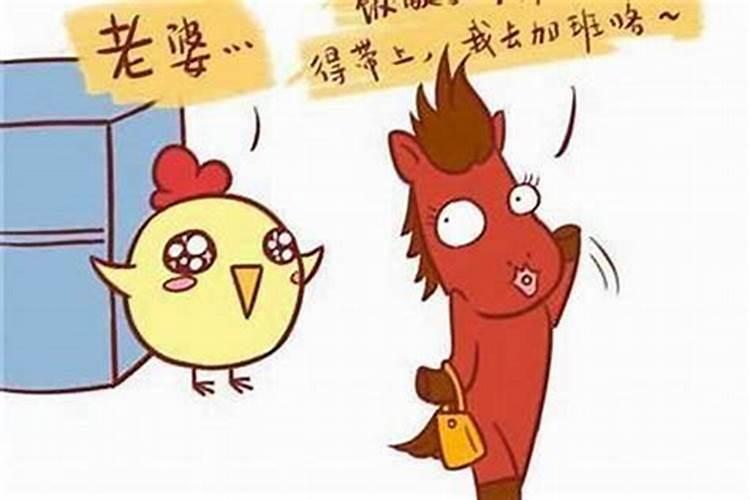 69年属鸡的婚配属相,1969年属鸡男和什么属相最配结婚