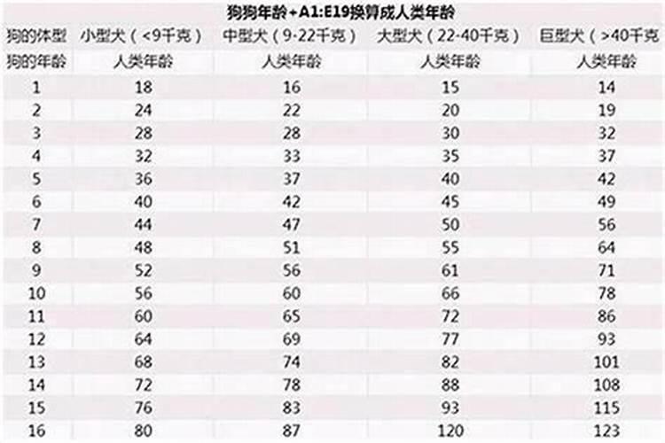 71年出生的51岁属猪人哪年开端发财,哪一年财运最旺？？