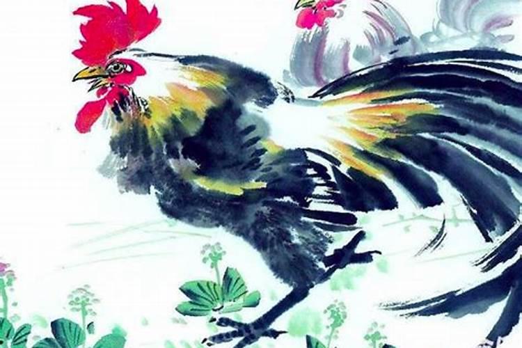 属鸡的出生年月与年龄对照表,生肖鸡年份对照表年龄