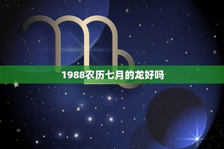 1988年属龙人2024年运势运程每月运程