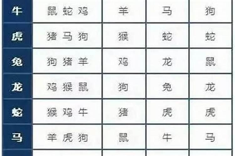 财神上供可以供烧鸡吗