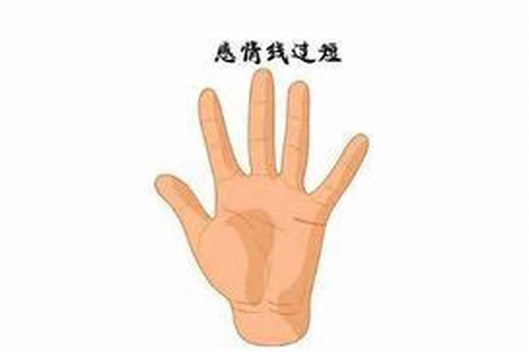冬至扫墓带什么祭品