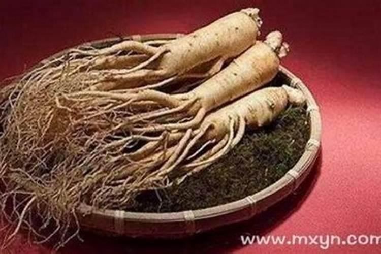 祭祖的正确步骤