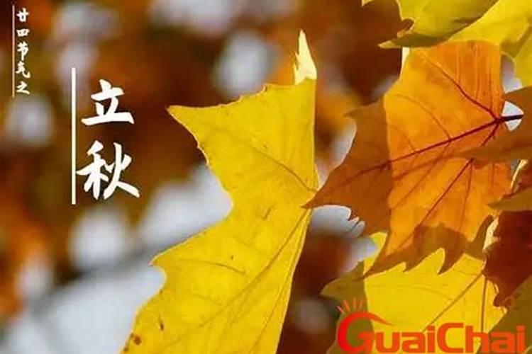 属猪和属羊的合不合财