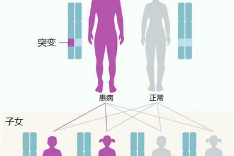什么样的风水会造成家族里女多男少,女的结
