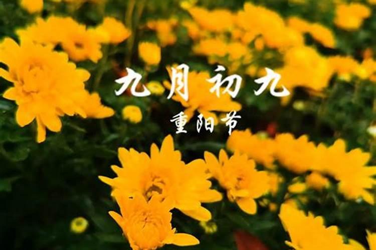 属虎的本命年戴什么好