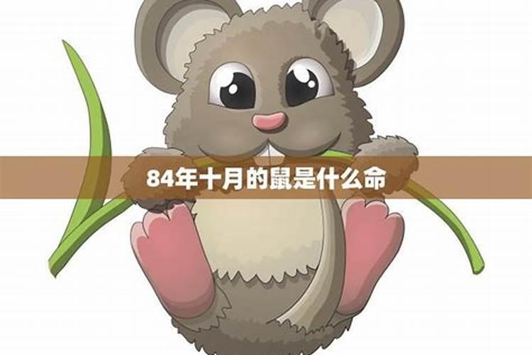 本命年结婚好吗？今年我属兔,我女朋友属马~!大家给个意见~!谢谢~!百 ...