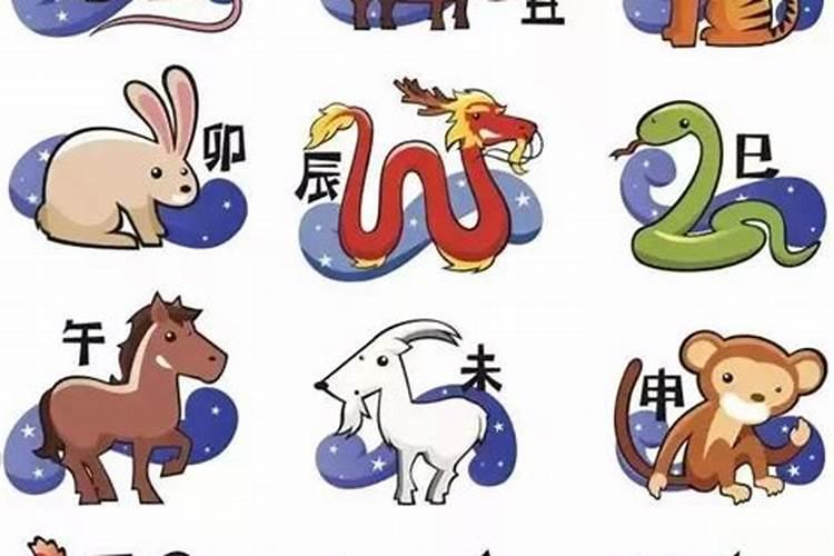 冬至扫墓鲜花用什么花
