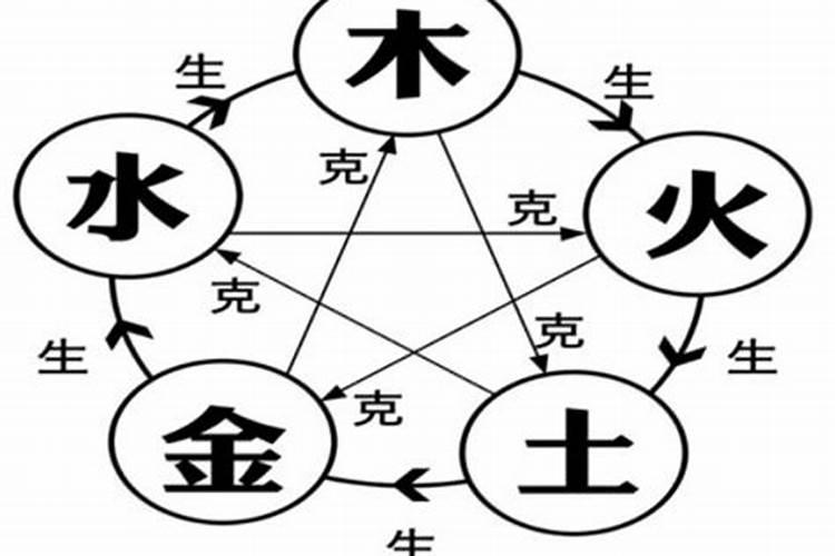 冬至扫墓送什么花