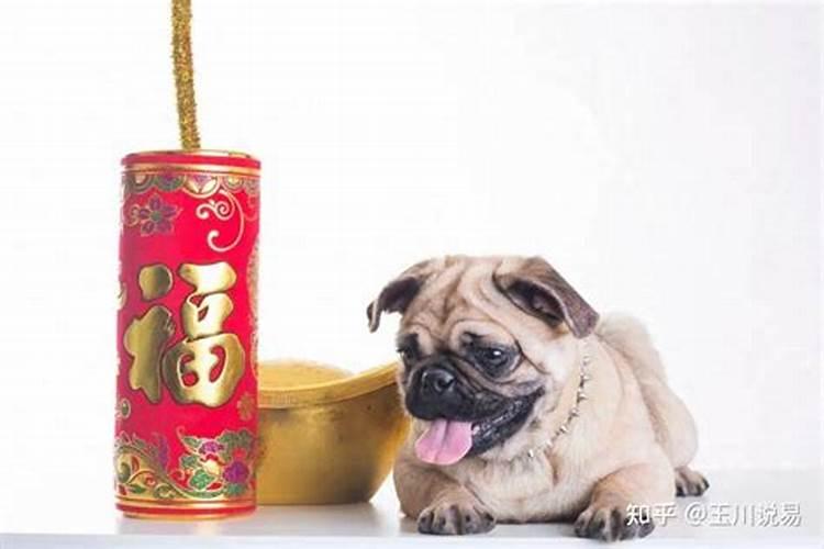 94年农历12月14日凌晨两点左右出生的人的命