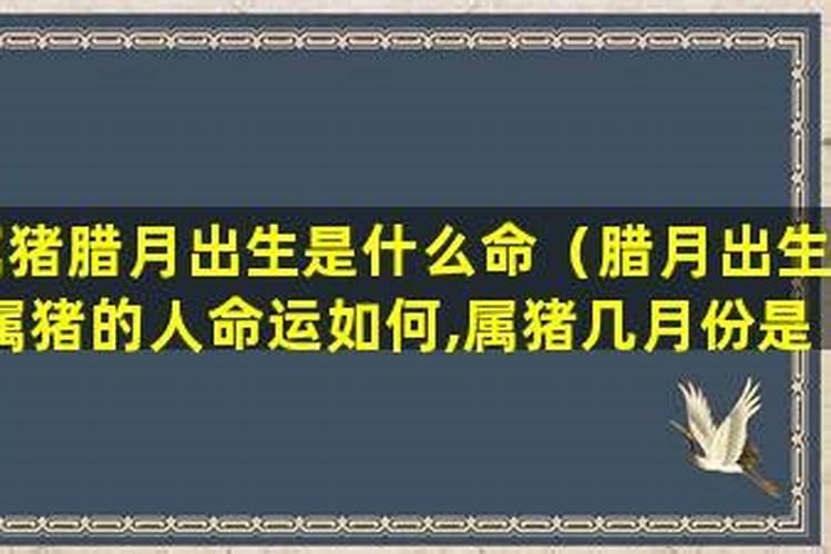 怎么转财运