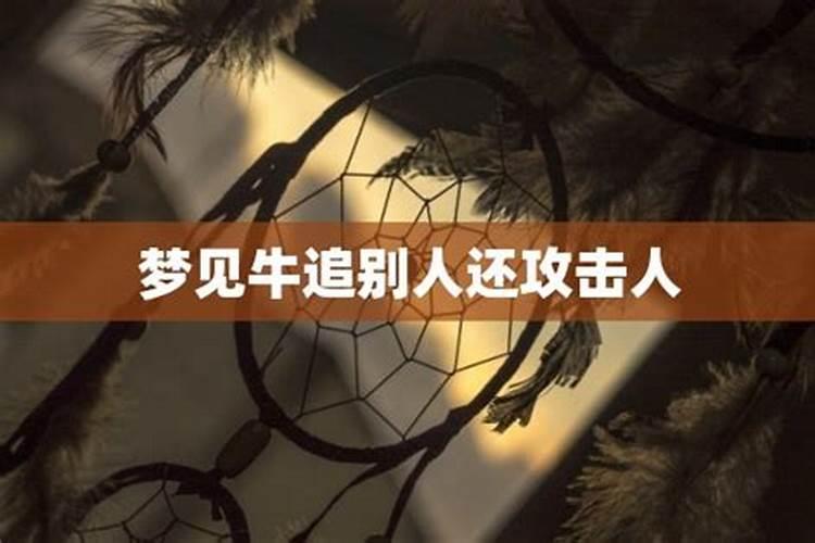 梦见儿子丢了找孩子的预兆