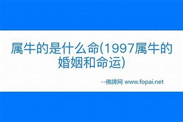 八五年牛人婚配什么属相,属牛的属相婚配表