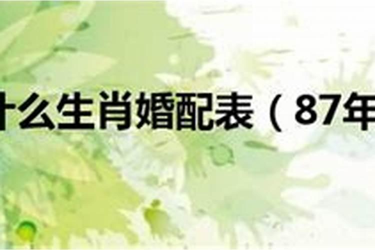 87年属兔的和什么属相最配 87年属兔的属相婚配表