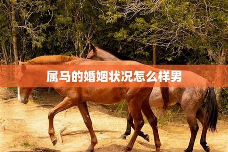 清明节出生的女孩子有什么说法
