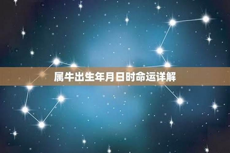 1985年属牛一生运势如何 85年属牛转大运年龄