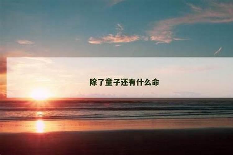 77蛇女2025每月运势