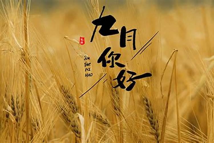 86年属虎男生日九月初九与86年属虎女生日五月初十在今年结婚,日子定几...