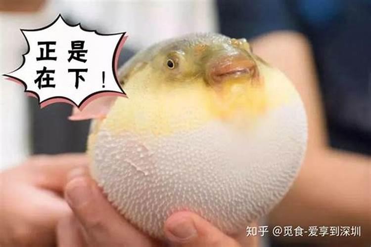 八字地支三合局,三合火局