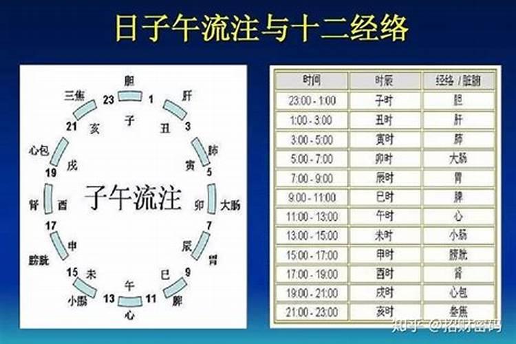 子午年是什么年？