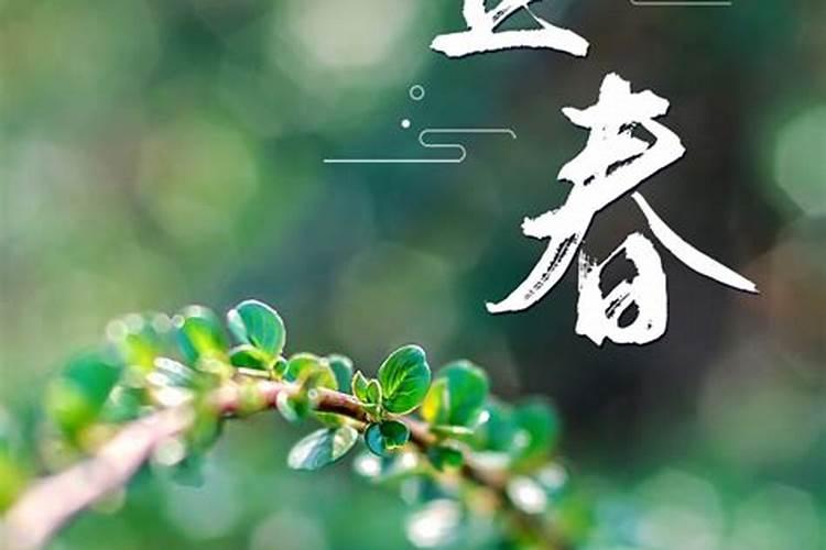 属兔的从2025年就顺了