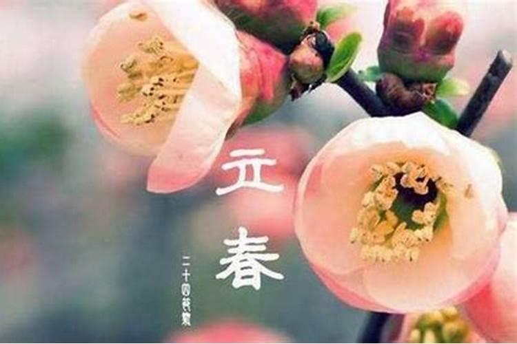 63年属兔2023到2025将来三年运势好吗？