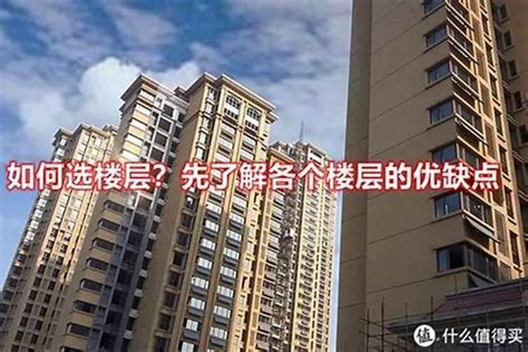 属鼠本命年买房住几楼好,有什么讲究？