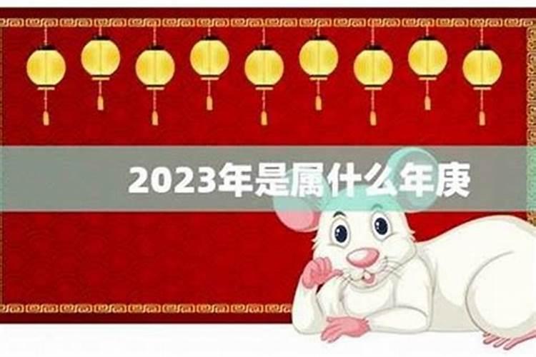 84年2025年属鼠人的全年运势