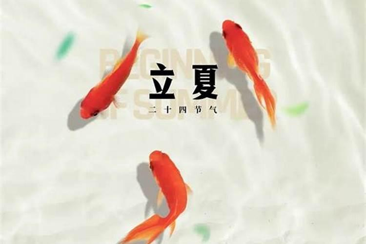 童子命怎么化解