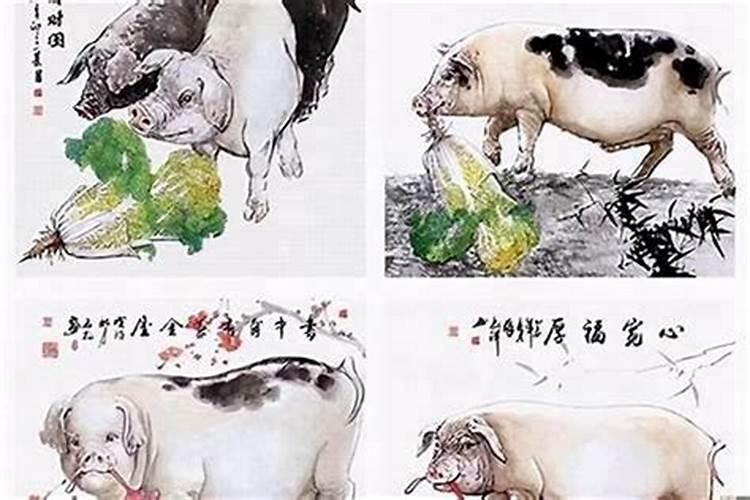 猪与龙属相婚姻相配