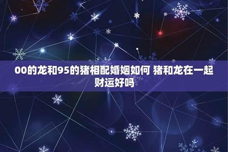 属猪与属龙婚配属相合不合？猪龙能长久吗？