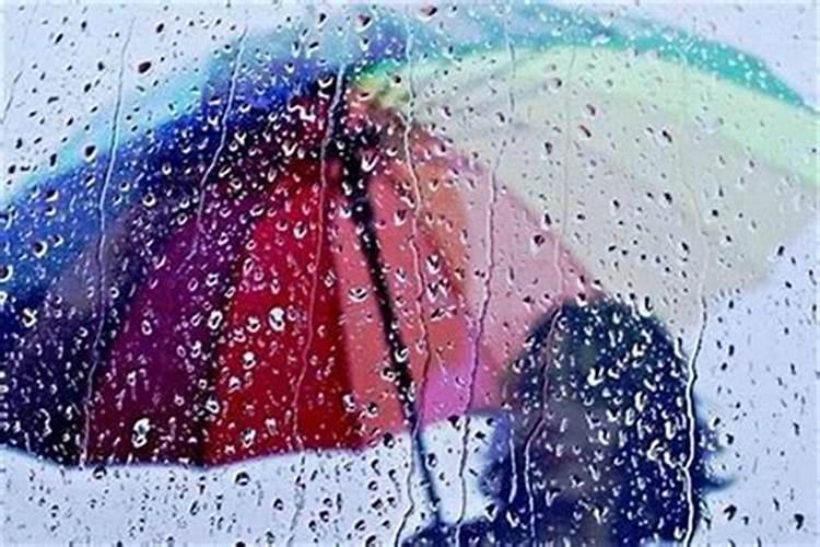 梦见被雨淋湿,预示着什么？