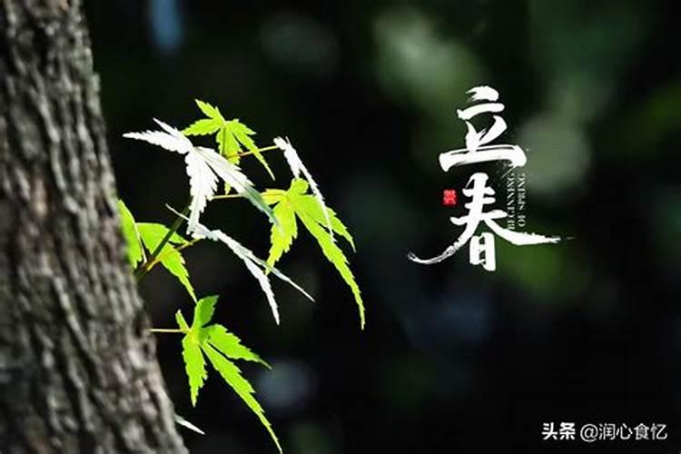牛鞭有什么营养价值？适合什么人吃