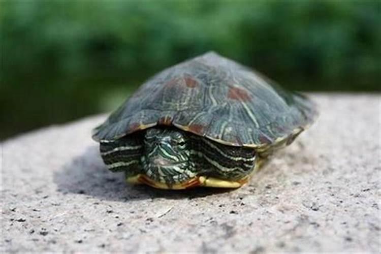 道士做法事属于诈骗
