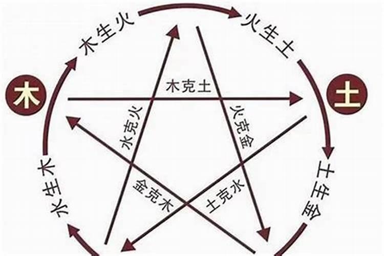 婚配五行和属相哪个准