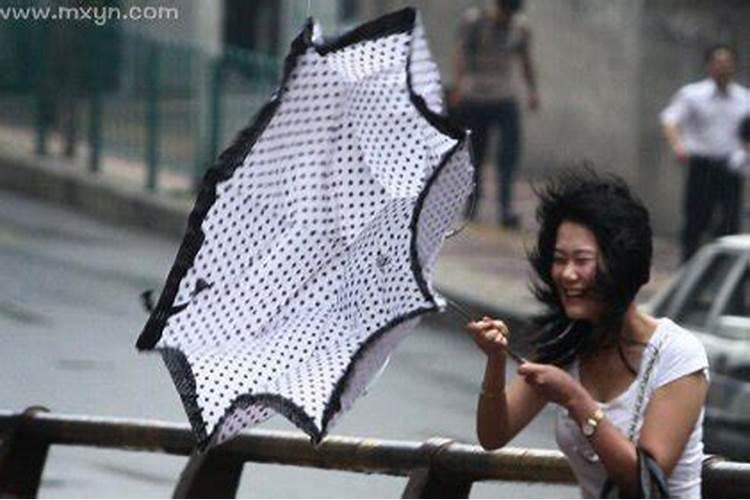 丑时出生的属鼠人命运如何