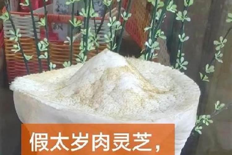属蛇生在农历十月好不好