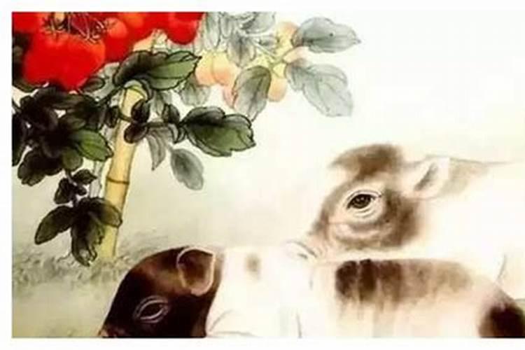 属猪本命年佩戴什么好属猪的本命年戴什么转运