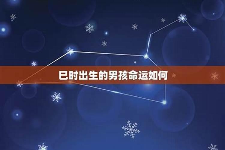 九六年女鼠2025年运势如何