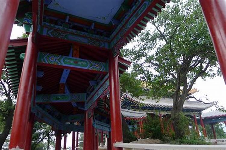 单身未婚女人梦见蛇