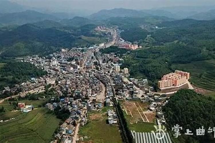 害太岁属虎的怎么化解2025年