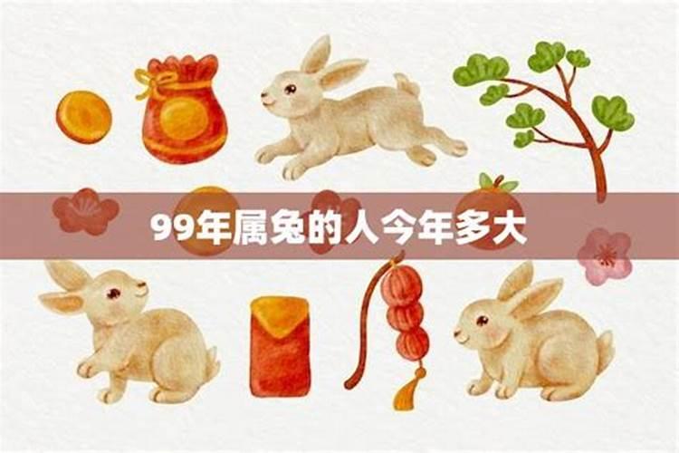 属兔人2024年全年运势运程详解