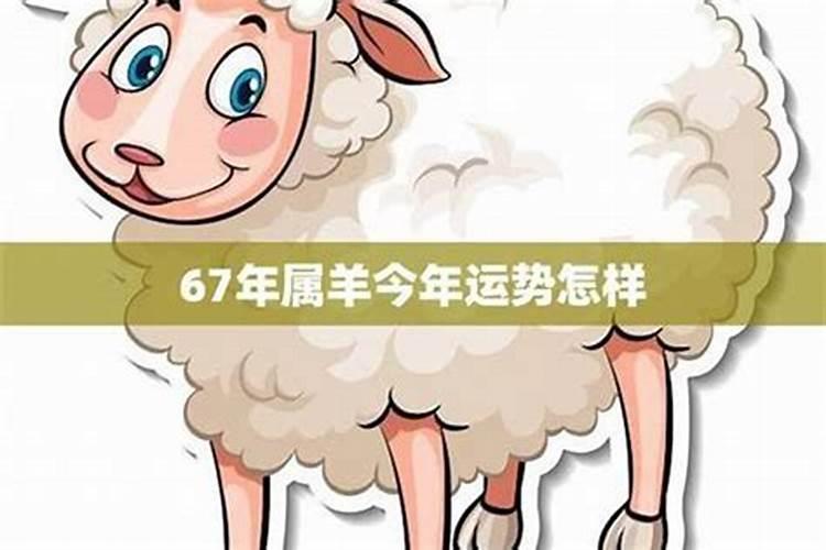 1967年属羊的后半生命运如何