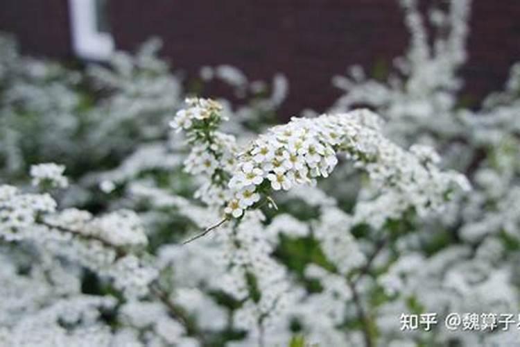 中元节出生的人有什么说法