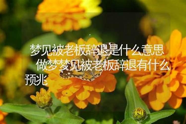 梦到被单位辞退预示着什么