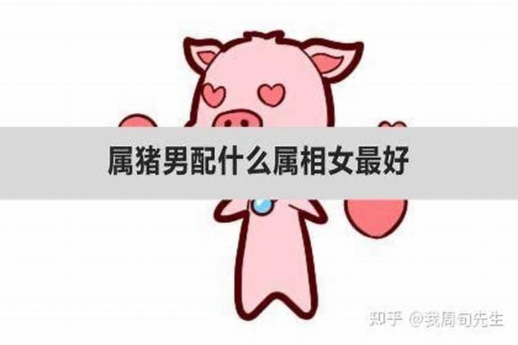 合八字:属狗的女人和属猪男配吗 能白头到老吗