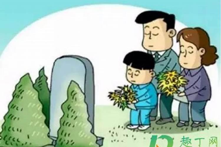 属相马在二零二五年的运势