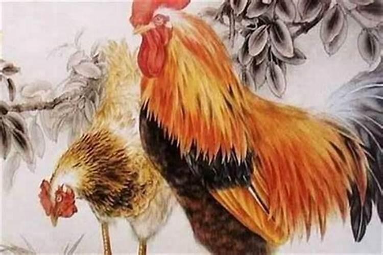 81年属鸡人什么时候转大运81年属鸡人哪一年行大运