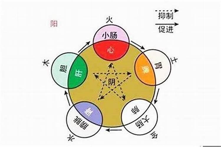 癸卯壬戌丙戌丁酉,女命,算算这一生命运状态如何？健康及寿元,估计99%的...
