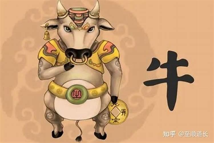 85年属牛女4月初6生日今年运势如何？